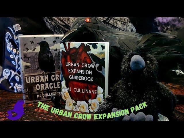 The Urban Crow Oracle Expansion Flip-Through