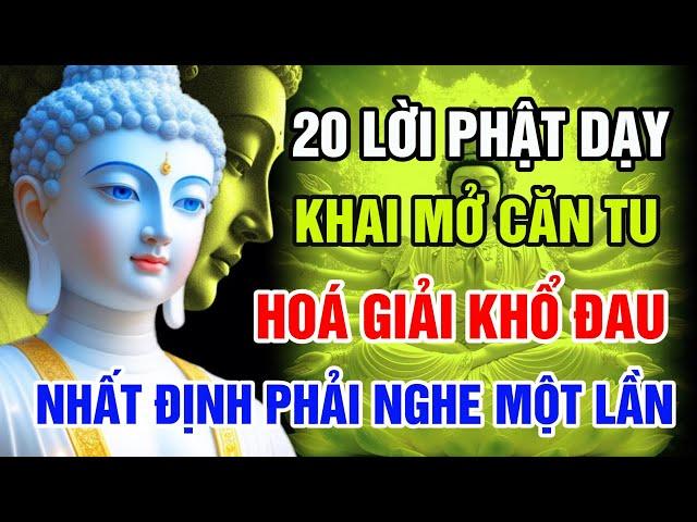 Tu Tại Gia Nhất Định Phải Nghe: 20 Lời Phật Dạy Giúp Chuyển Nghiệp, Chứng Quả, Hóa Giải Khổ Đau