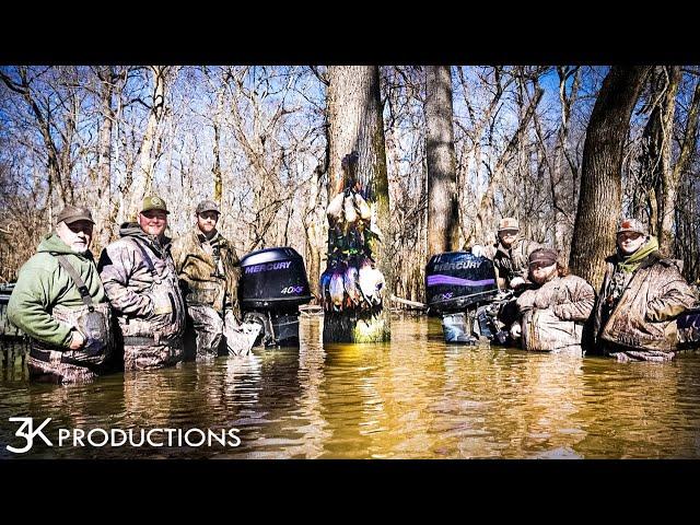 Arkansas Public Land Duck Hunting | Late Season Mallards