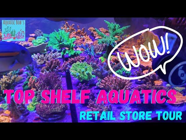 Top Shelf Aquatics Retail Store Tour