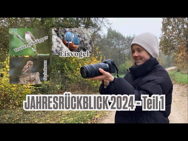 Jahresrückblick 2024 -Teil 1: Von Wendehals, Trauerschnäpper, Steinkauz & Co