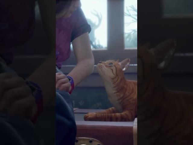 Lost Records Bloom and Rage  - Swann soothes her anxiety and snuggles her cat Pumpkin
