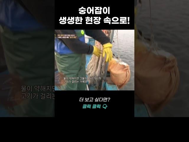 숭어잡이, 그 생생한 현장 속으로! | 리얼다큐 숨