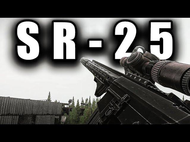 SR-25 Main Build - Escape From Tarkov