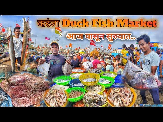 करंजा नवीन धक्क्यावर बाजार झाला सुरू | Karanja Dock | करंजा Dock Fish Market आज पासून सुरुवात..