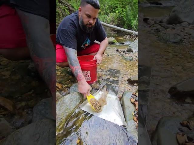 Sluice Gold!!!!  #goldprospecting #goldpanning #goldsluice #goldnuggets #goldnugget #treasure