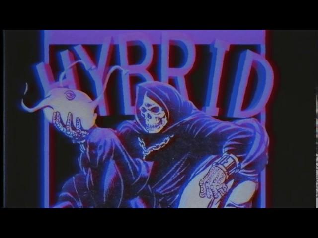 PSCHD — HYBRID