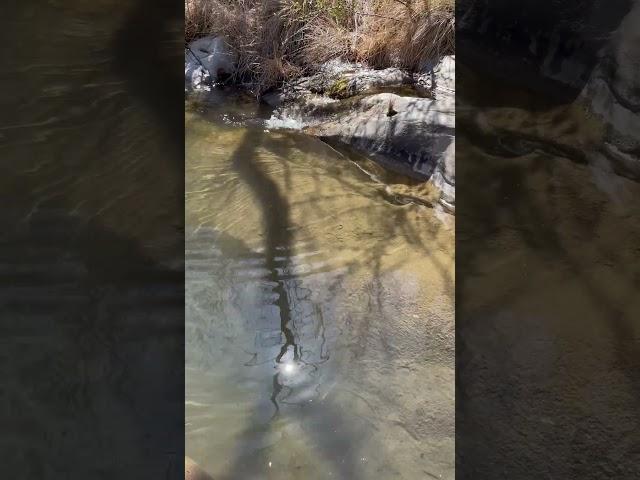 Mini Meditation | Calming Piano for Stress Relief Relax with Water Outside of Ojai, California
