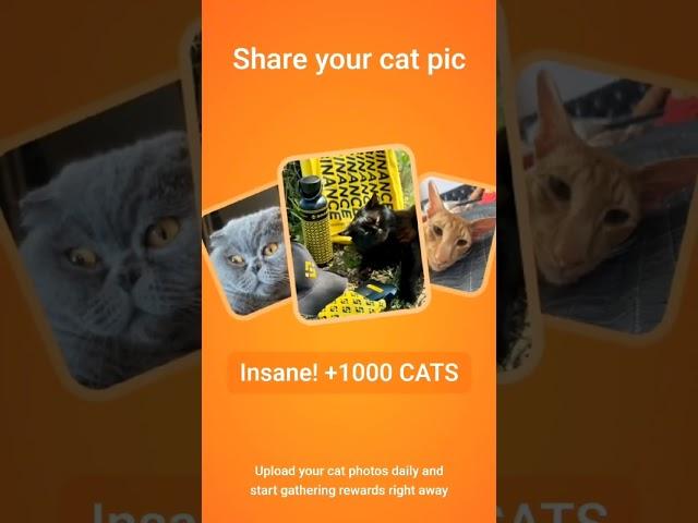 #cats #reels #telegram #bot #заработать #телеграм #боты