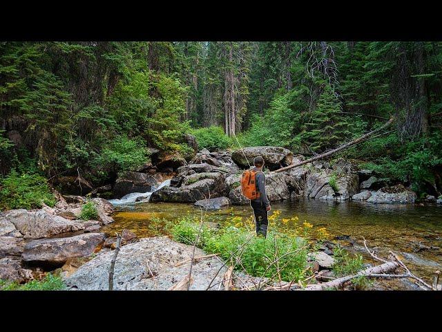 Most Bull Trout I’ve EVER Caught in a Tiny Creek! (Fly Fishing for Bull Trout)