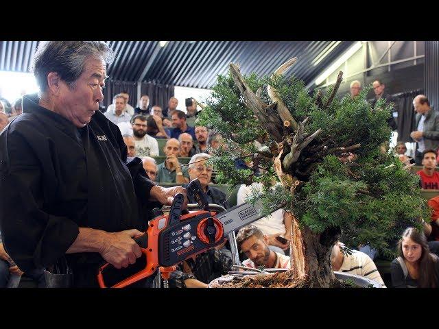 Kunio Kobayashi Bonsai demonstration