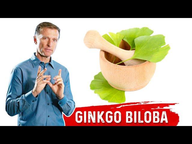 What is Ginkgo Biloba? – The Benefits of Ginkgo Biloba – Dr.Berg