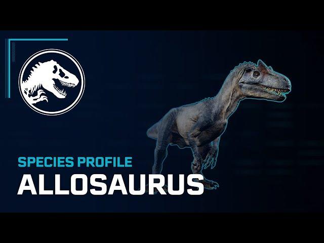 Species Profile - Allosaurus