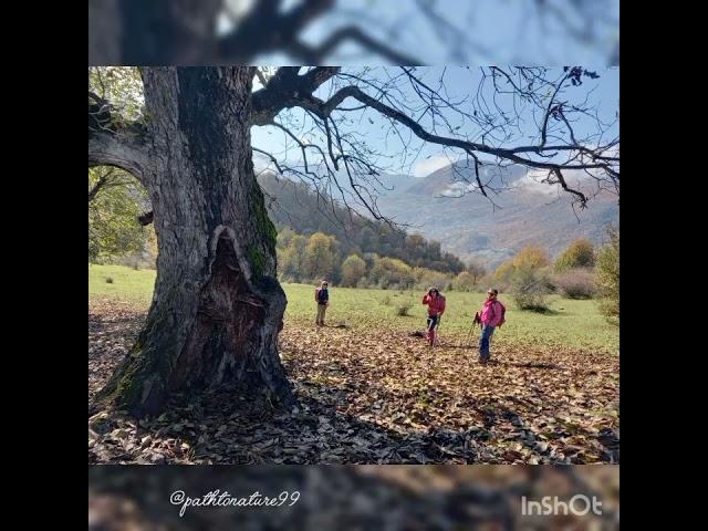 Nov 2024. Shamsak Plain, Ziarat Village, Gorgan, Iran #climbing #mountains #iran #gorgan #autumn