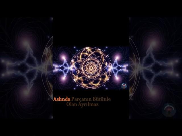  33.Seviye Bilgelik! Kutsal Geometri & Evrensel Bağlantı ️ #sadhguru #spirituality