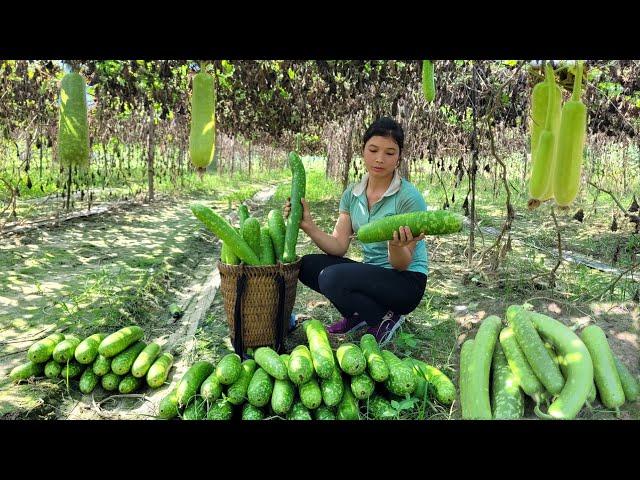 Harvesting gourd to sell at market, Taking care of pets, Cooking