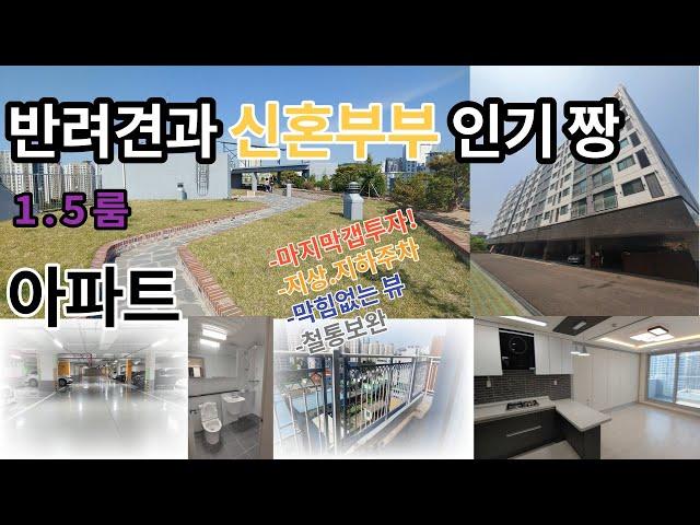 송내동 SJ성진힐스아파트 1 .5룸 갭투자 추천아파트