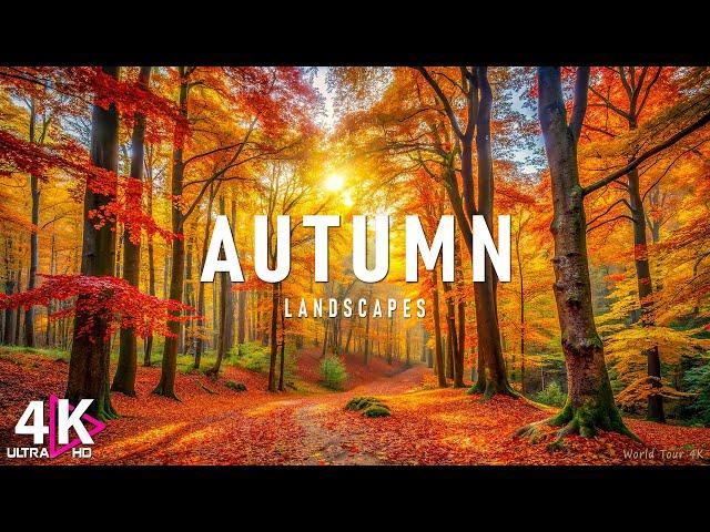 Autumn 4K Ultra HD • Stunning Footage, Scenic Relaxation Film With Calming Music