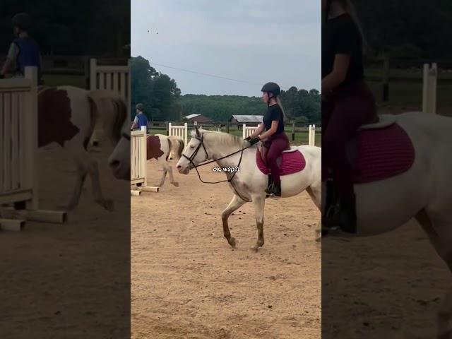  #equestrianjourney #equestrian #fypシ゚viral #eq