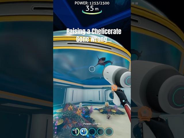 The Chelicerate did not fw me  #subnautica #subnauticabelowzero #gaming