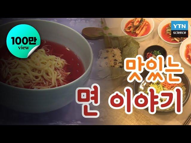 [다큐S] 맛있는 ‘면’이야기 / YTN 사이언스