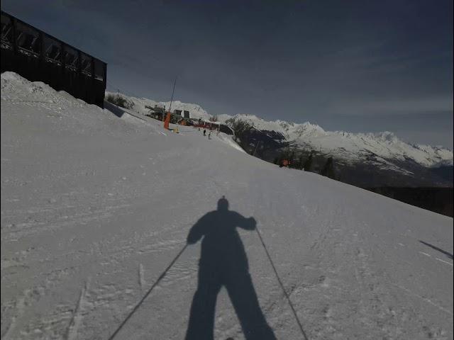 Dog on the slopes ,France La Plagne ,2020