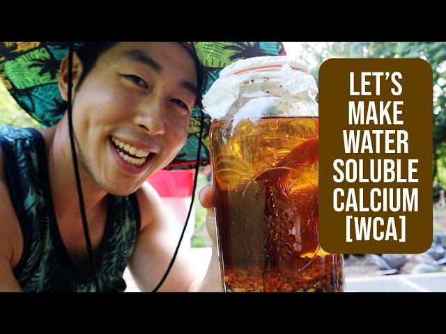 Let's Make Water Soluble Calcium [WCA]