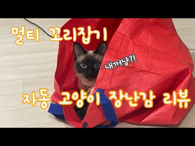 [먼지로그/cat's log] 자동 고양이 장난감 리뷰!