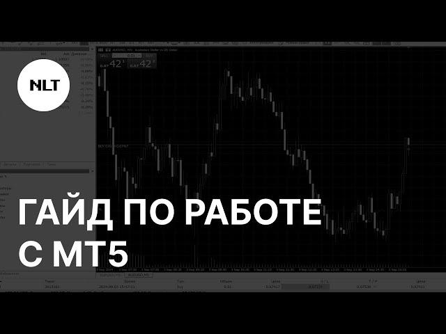 Как использовать торговый терминал Metatrader (MT5) - Настройка и советы