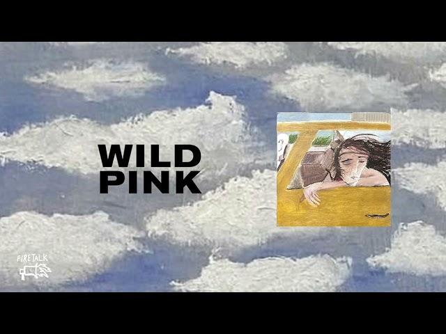 Wild Pink - Dulling The Horns [Full Album Stream]