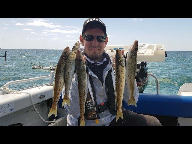 How to catch Whiting fishing Port Phillip Bay