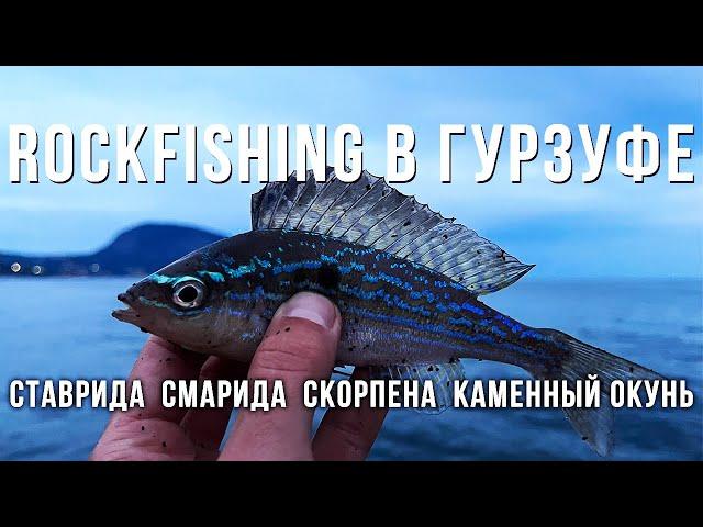 Вечерняя рыбалка на Черном море! Гурзуф порадовал разнообразием рыб! ROCKFISHING в Крыму.