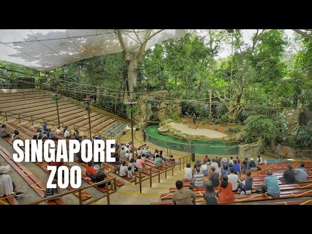 Singapore Zoo Walking Tour (4K HDR)