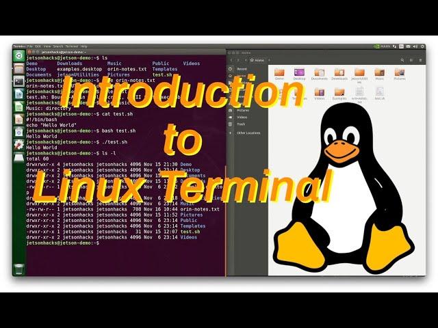 10 Beginning Linux Commands