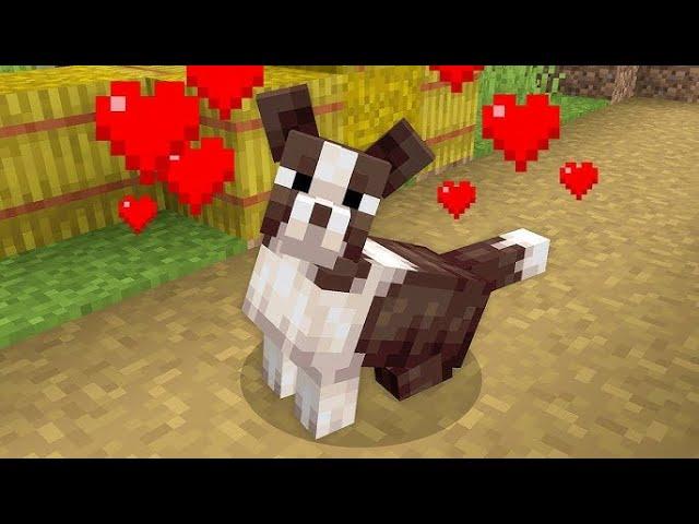 I Coded Your Real Life Pets In Minecraft...