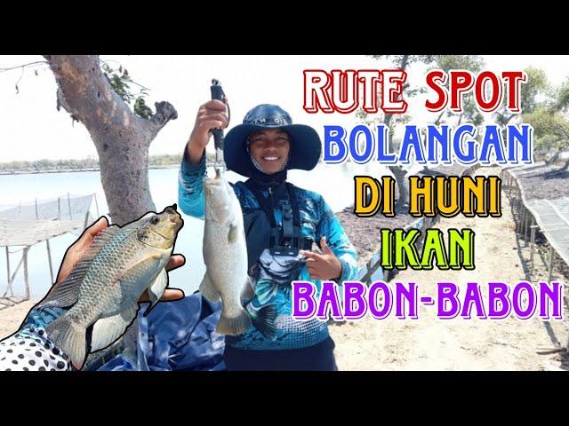 RUTE SPOT MANCING DI HUNI IKAN BABON-BABON [] Mancing Bolangan Harian