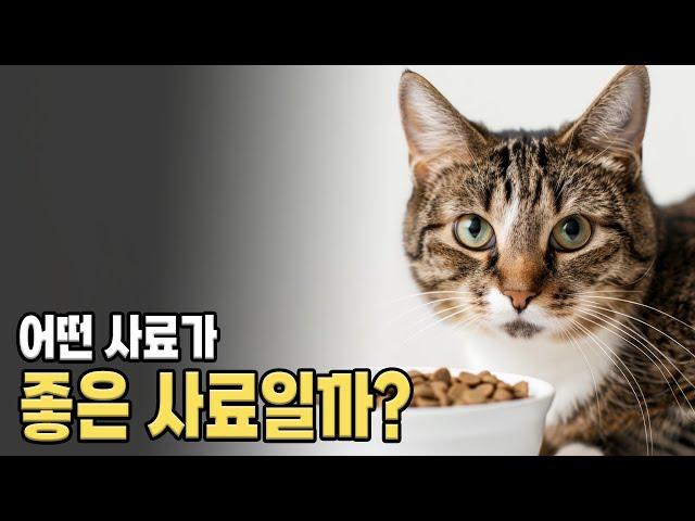 고양이 좋은 사료를 고르는 요령. 어떤 사료가 좋은 사료일까?