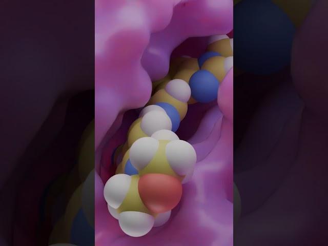 Hey, look here. A little dance and science! #animation #science #biology #3danimation #love