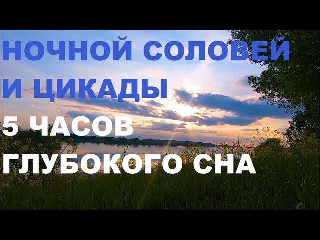КРЕПКИЙ СОН ПОД ПЕНИЕ НОЧНОГО СОЛОВЬЯ,СВЕРЧКОВ И  ЦИКАД ВАМ ОБЕСПЕЧЕН.ЗВУКИ ПРИРОДЫ БЛАГОТВОРНЫ.