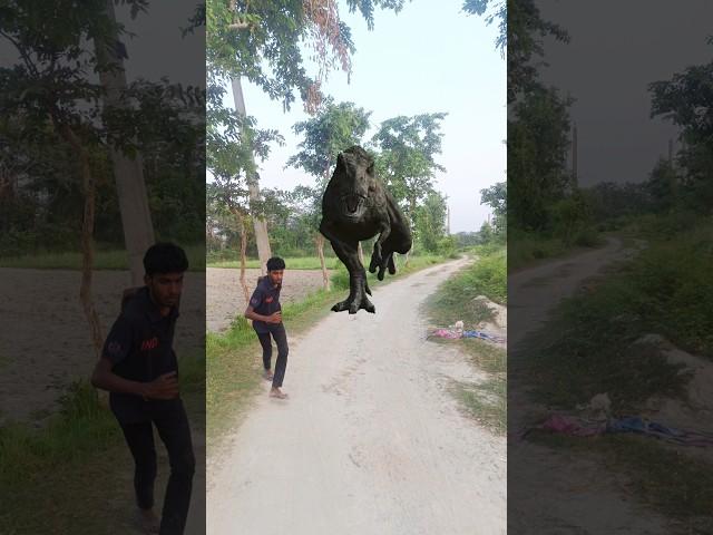 Big Dinosaur chase T-Rex attack part 192 #trending #dinosaur #vfx #youtube #shorts
