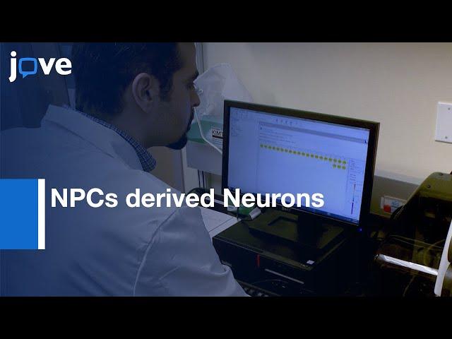 Neurite Outgrowth and Neurotoxicity Assessment in NPCs derived Neurons | Protocol Preview