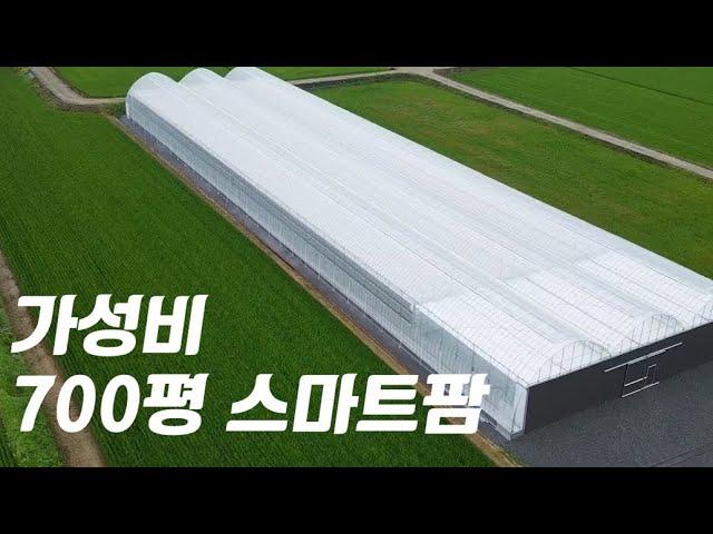 700평 규모, 2억 원 대 딸기 스마트팜 구축 완료_SMARTFARMING