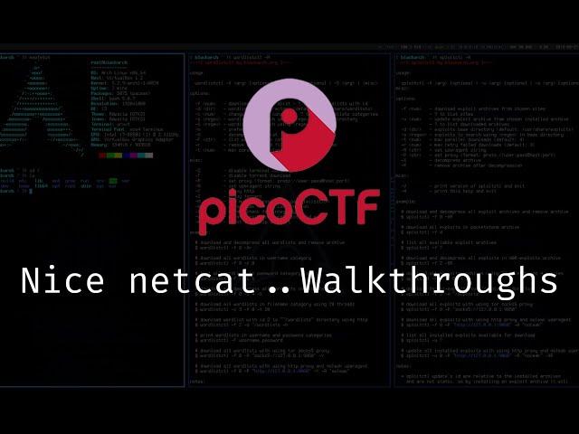 Nice Netcat PicoCTF Walkthrough | CTF #picoctf #ctf #hacking