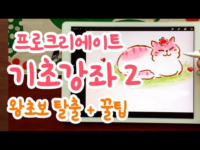 프로크리에이트 기초 강좌 2 / 색연필로 고양이 쉽게 그리기 / 아이패드 드로잉