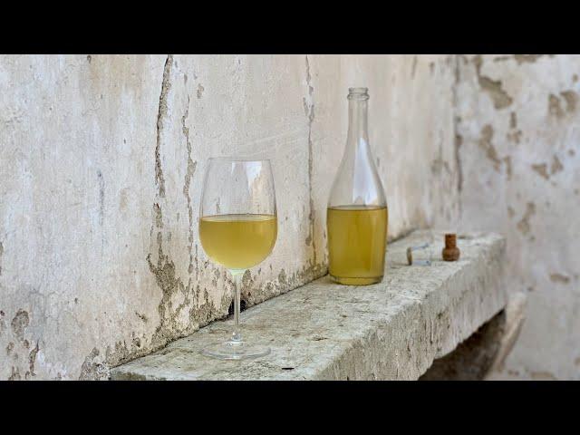 WHITE WINE Homemade  How to make WINE at Home  Italian Tradition recipe #whitewine