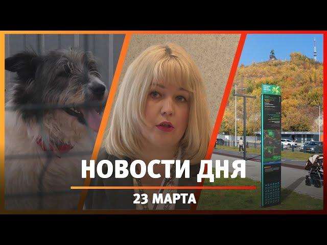 Новости Уфы и Башкирии 23.03.23: буллинг в школах, туристическая навигация и приюты для собак