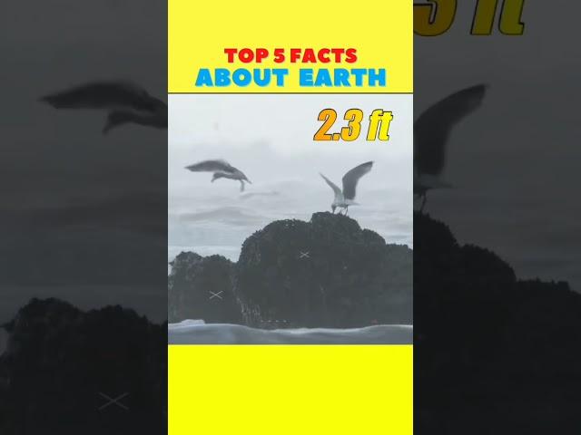 https://youtu.be/bepq_svHH10?si=avg5ZMNo22VYEozr