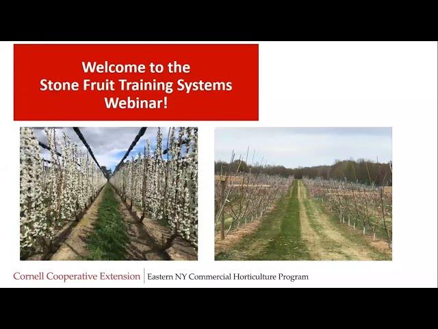 Modern Stone Fruit Training Systems webinar