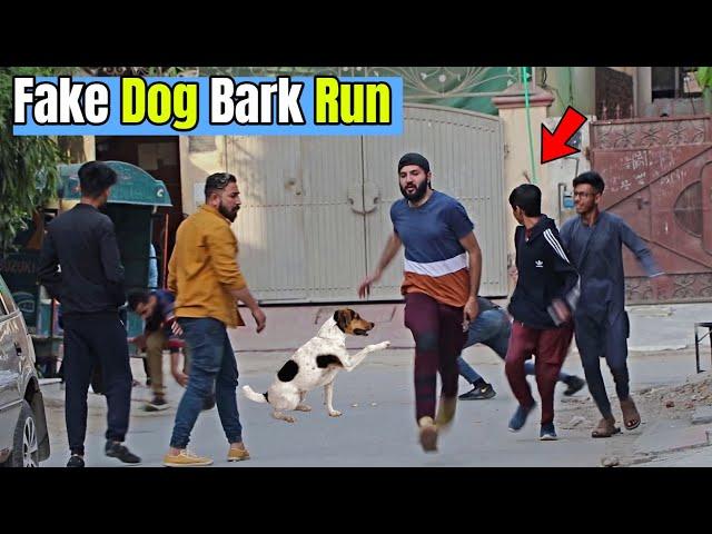 Fake Dog Bark Run | Pranks in Pakistan | LahoriFied