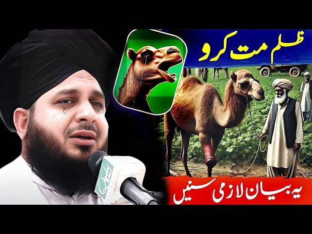 Peer Ajmal Raza Qadri || Do Not Be Cruel ज़ुलम मत करो || By Pir Ajmal Raza Qadri 2024 #lahore